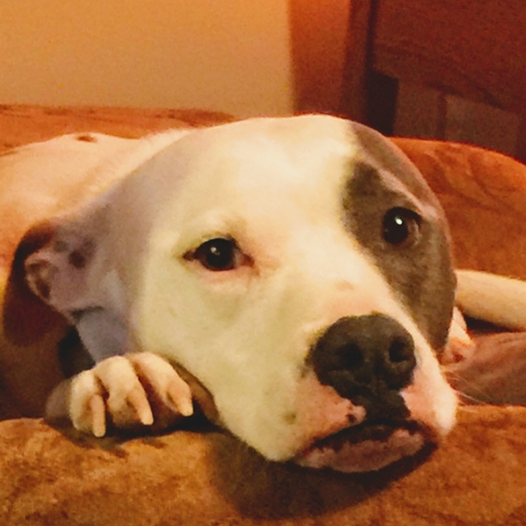 Meet your Posher, Scott - Picture 1 of 1